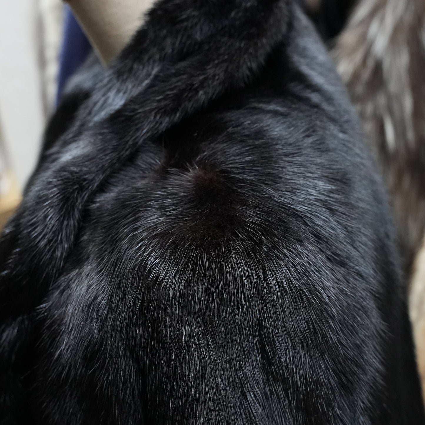 Black Mink Half Coat Malvoisie - Genuine Vintage Fur From Japan