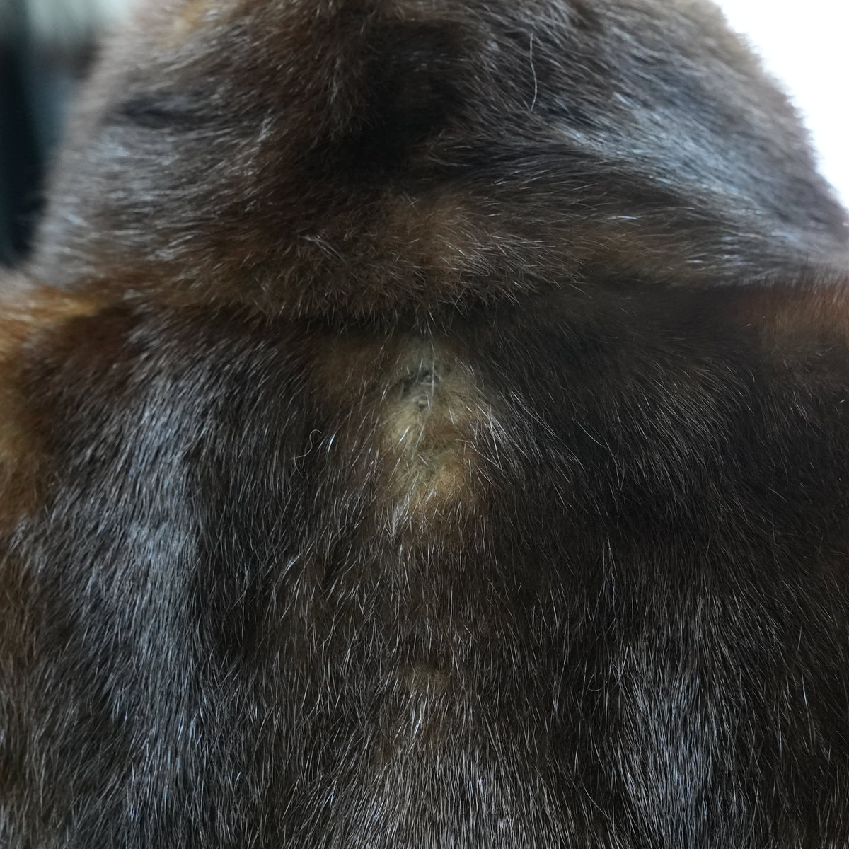 Dark Mink Very Long Coat - Genuine Vintage Fur From Japan
