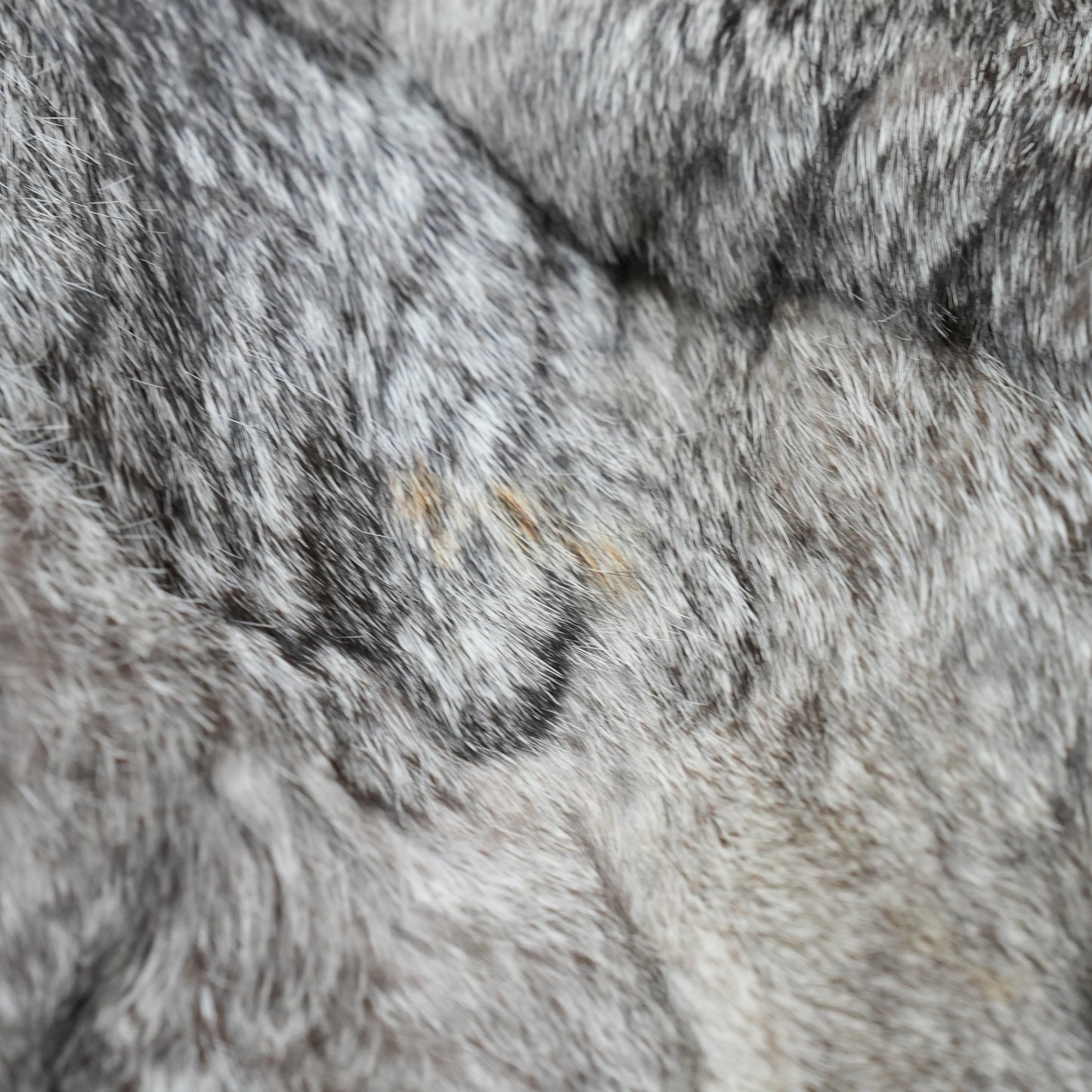 Rabbit Fur Long Coat -  Genuine Vintage Fur From Japan