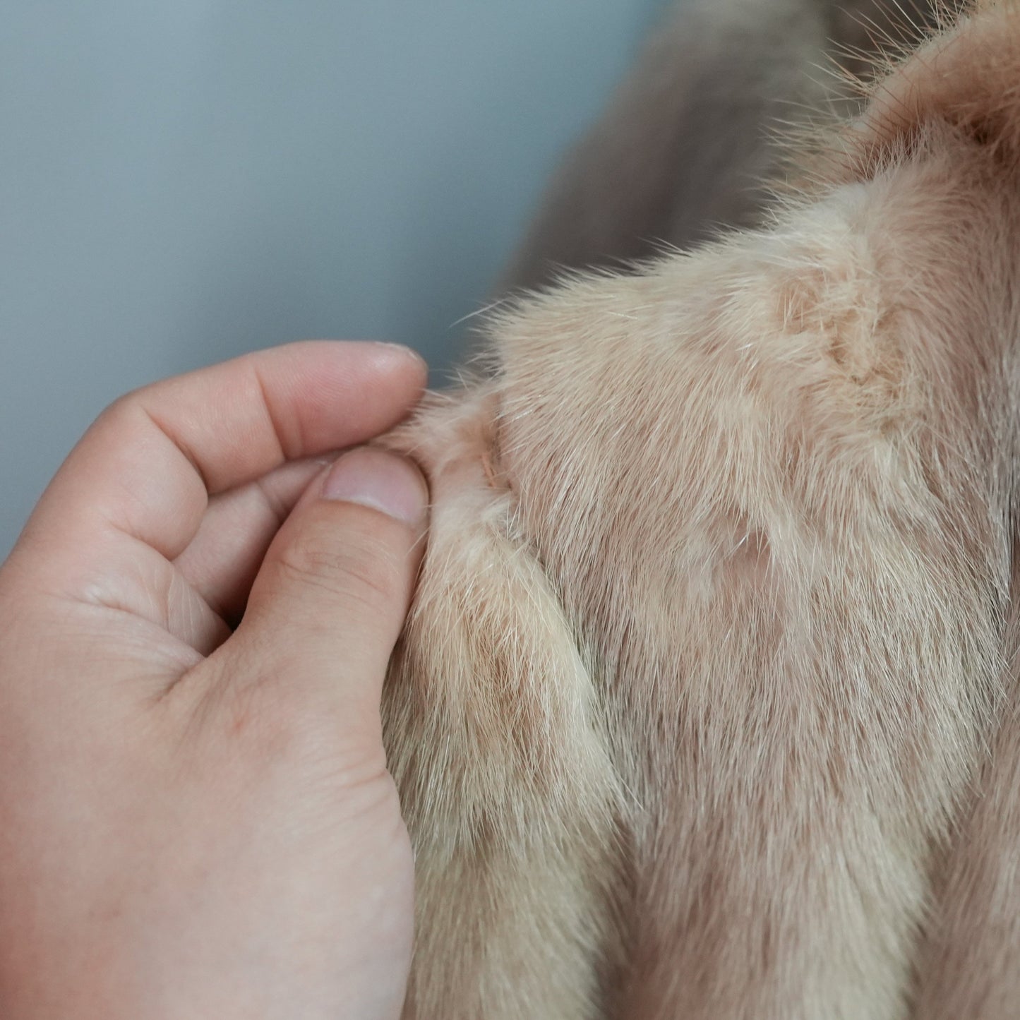 Pastel Mink Long Coat - SAGA MINK Genuine Vintage Fur Japan