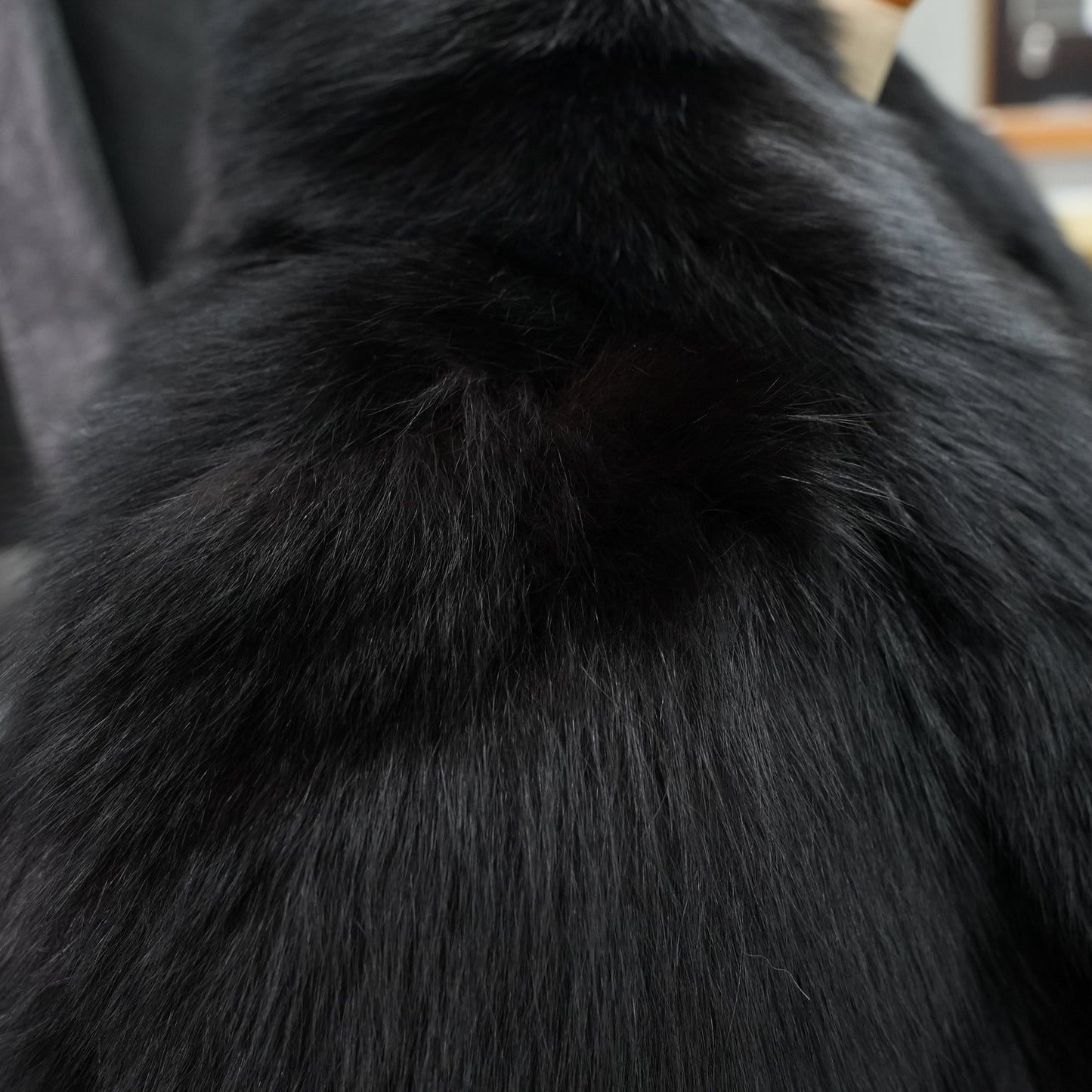 SAGA ROYAL FOX Black Dyed Coat - Genuine Vintage Fur From Japan