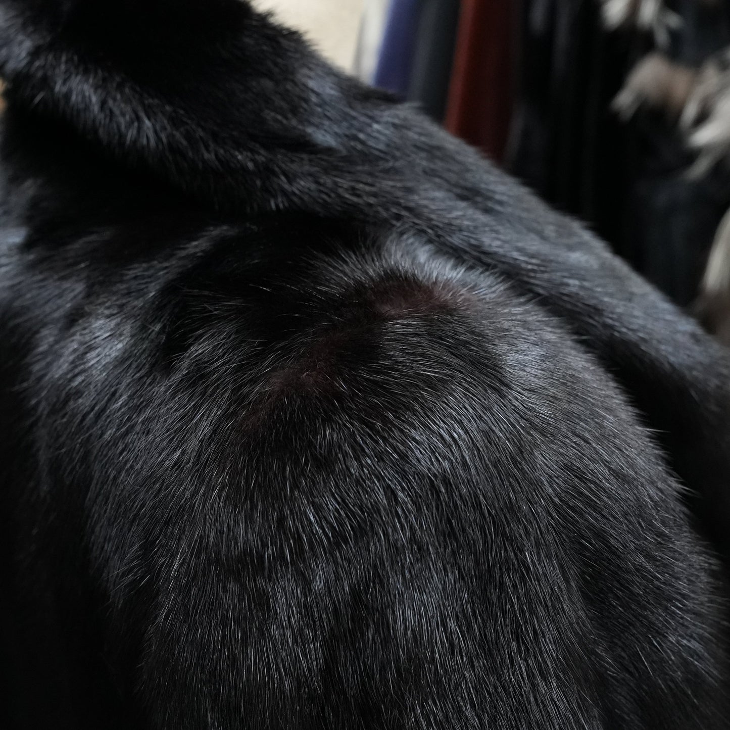 Black Mink Half Coat Malvoisie - Genuine Vintage Fur From Japan