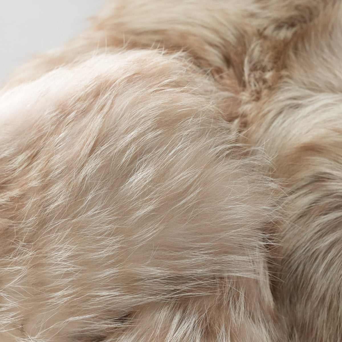 Light Beige Dyed Fox Fur Long Coat EMBA - Genuine Vintage Fur From Japan