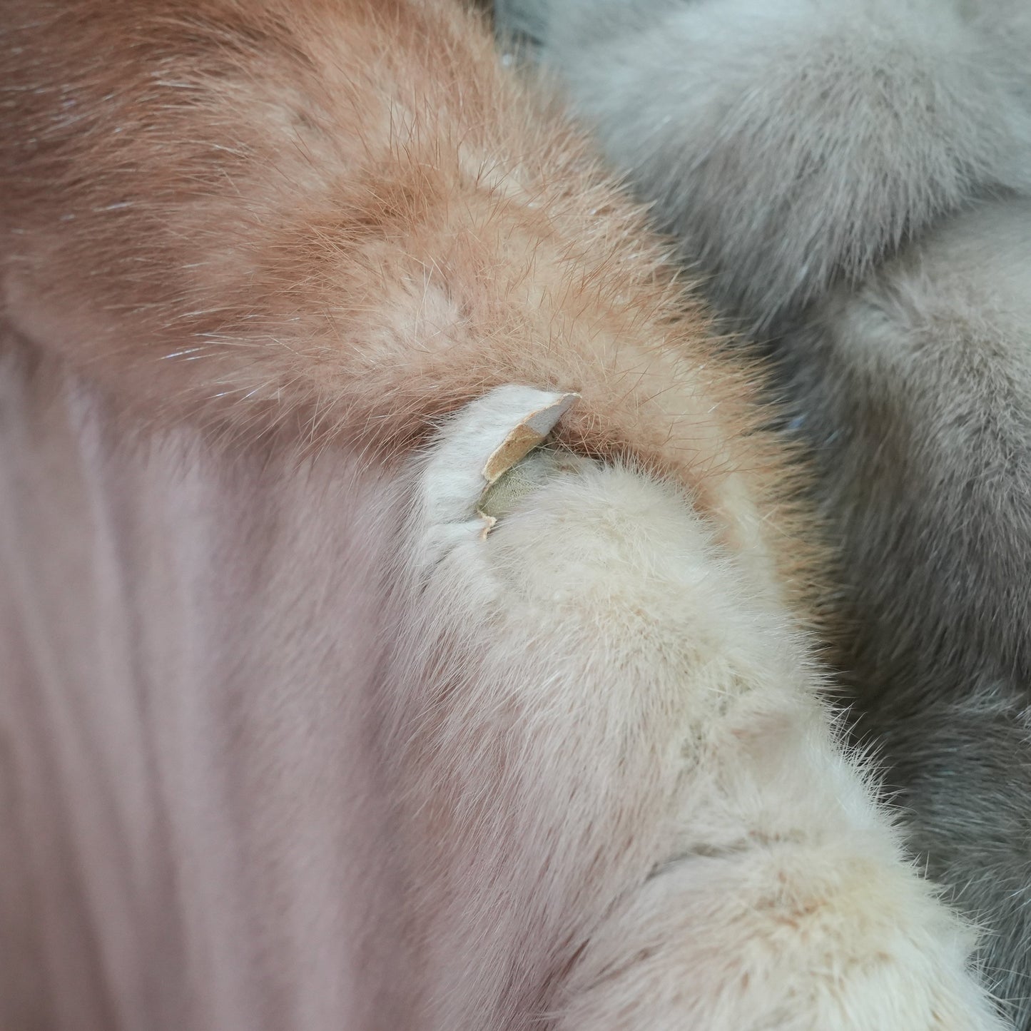Pastel Mink Long Coat - SAGA MINK Genuine Vintage Fur Japan